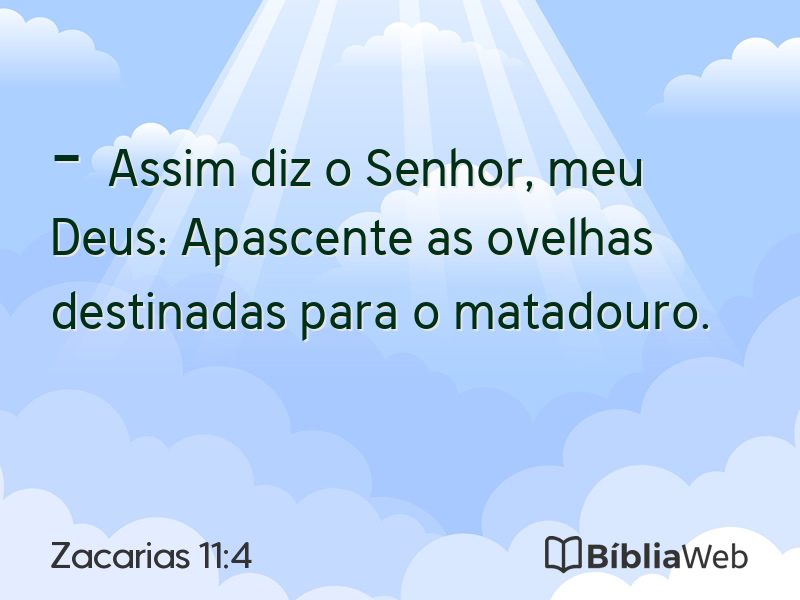 Zacarias 11:4 em imagem para compartilhar