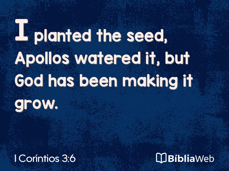 I Coríntios 3:6 em imagem para compartilhar
