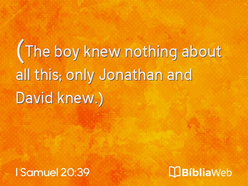 I Samuel 20:39 em imagem para compartilhar
