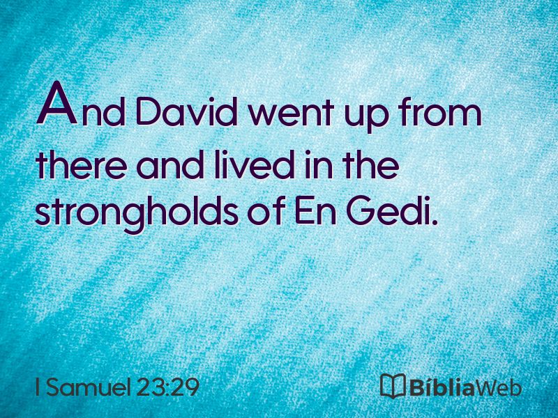 I Samuel 23:29 em imagem para compartilhar
