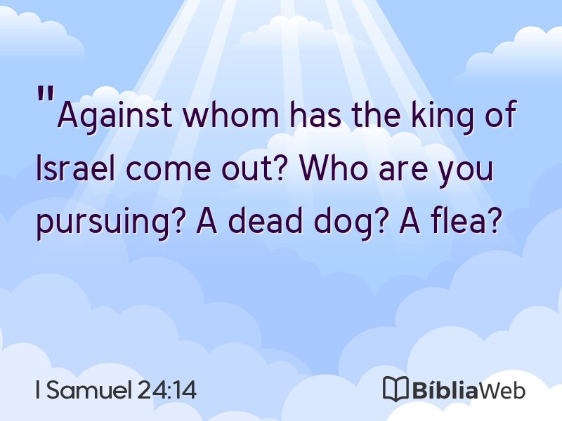 I Samuel 24:14 em imagem para compartilhar