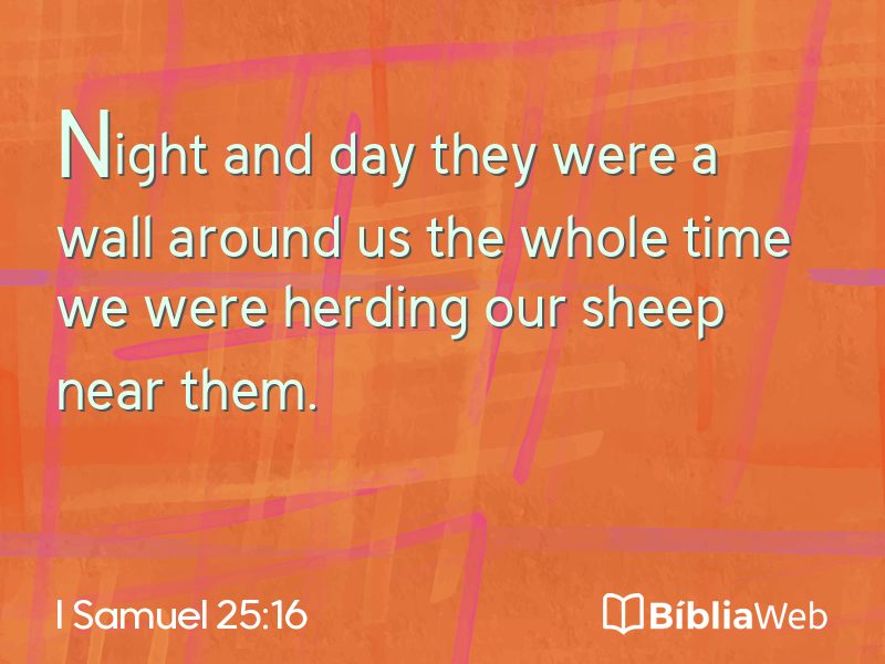I Samuel 25:16 em imagem para compartilhar