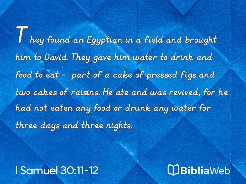 I Samuel 30:11-12 em imagem para compartilhar