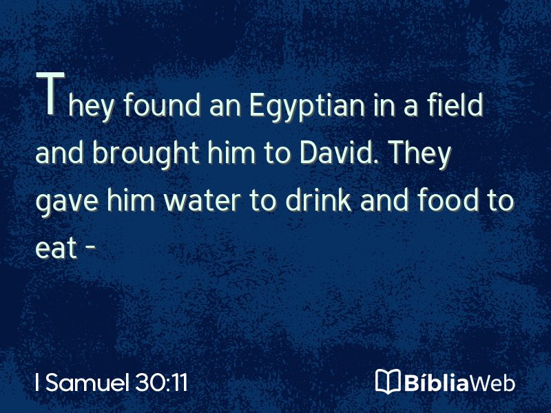 I Samuel 30:11 em imagem para compartilhar