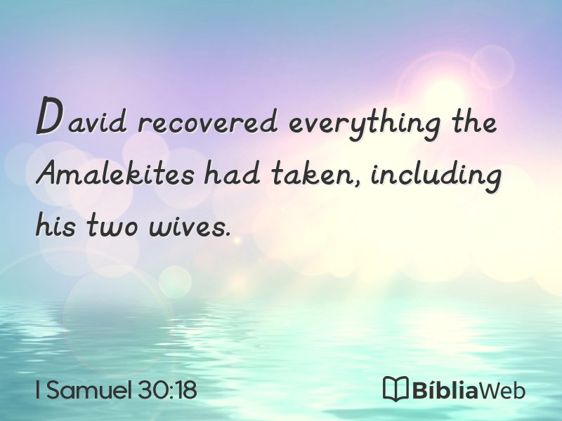 I Samuel 30:18 em imagem para compartilhar