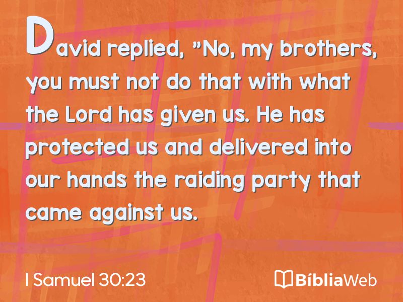 I Samuel 30:23 em imagem para compartilhar
