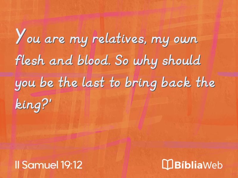 II Samuel 19:12 em imagem para compartilhar