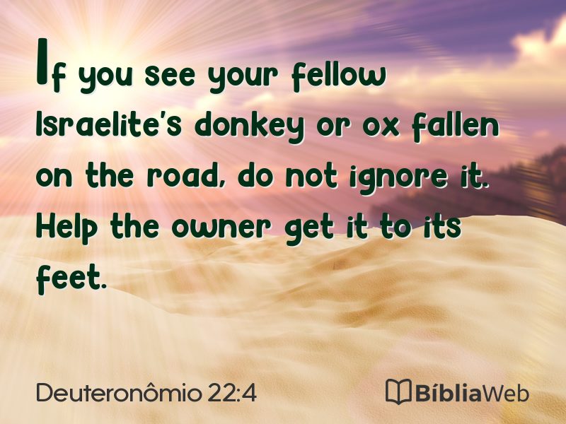 Deuteronômio 22:4 em imagem para compartilhar