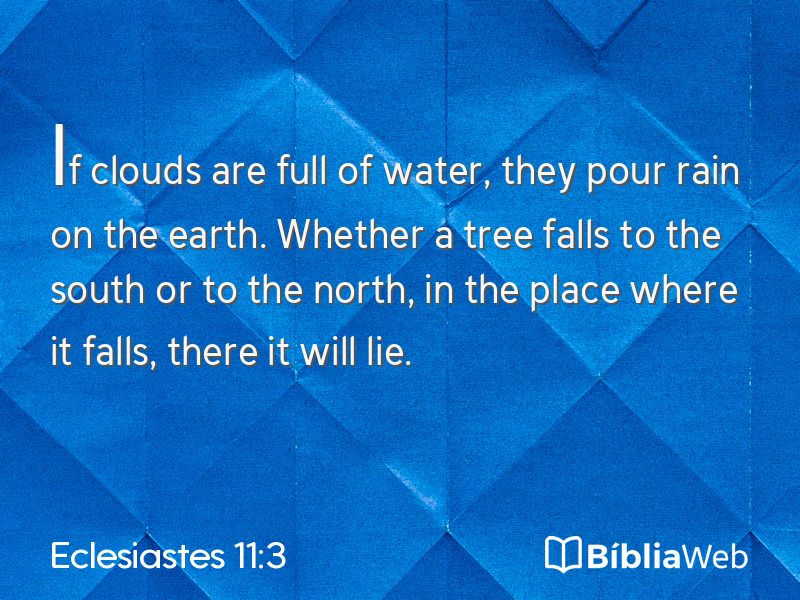 Eclesiastes 11:3 em imagem para compartilhar