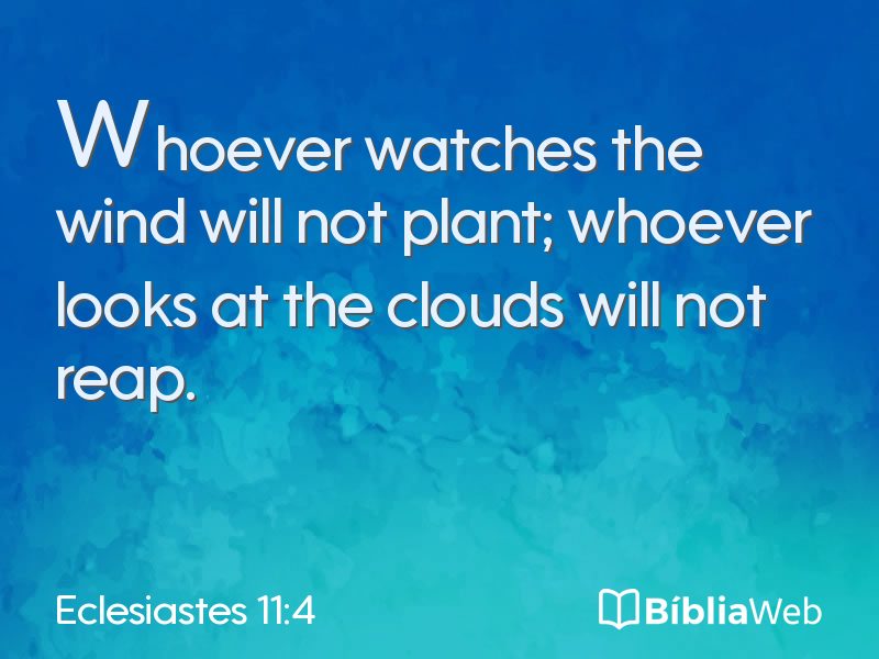 Eclesiastes 11:4 em imagem para compartilhar