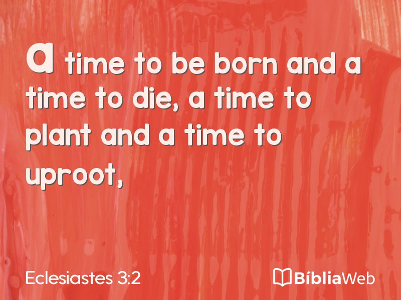 Eclesiastes 3:2 em imagem para compartilhar
