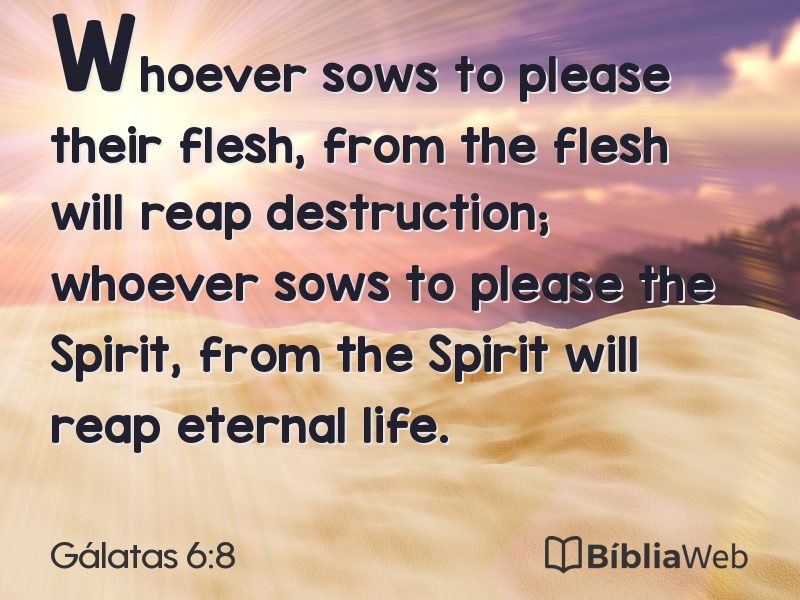 Gálatas 6:8 em imagem para compartilhar