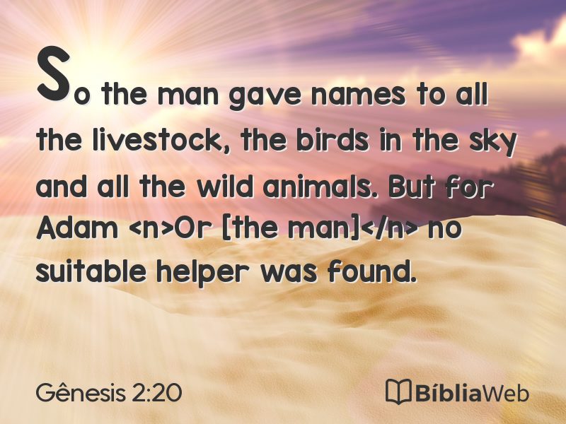 Gênesis 2:20 em imagem para compartilhar