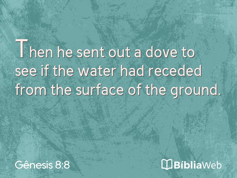 Gênesis 8:8 em imagem para compartilhar