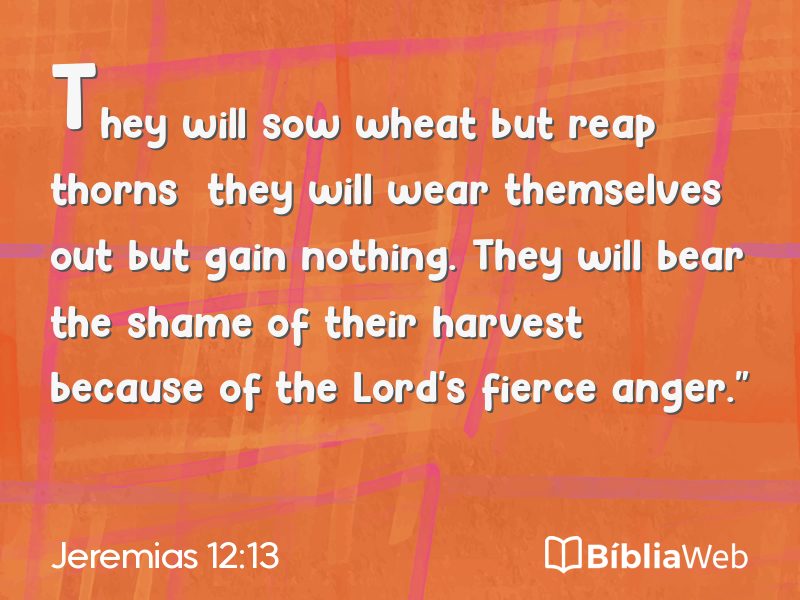Jeremias 12:13 em imagem para compartilhar