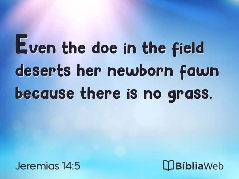 Jeremias 14:5 em imagem para compartilhar
