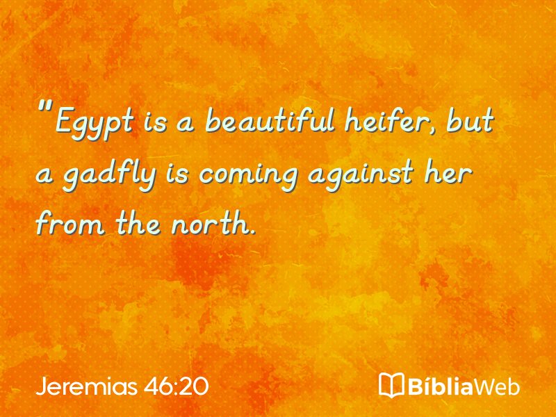 Jeremias 46:20 em imagem para compartilhar