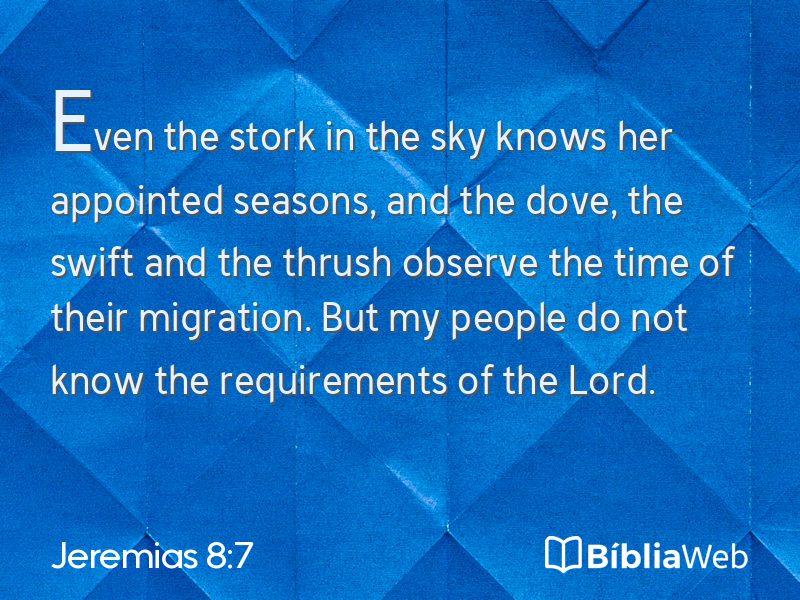 Jeremias 8:7 em imagem para compartilhar