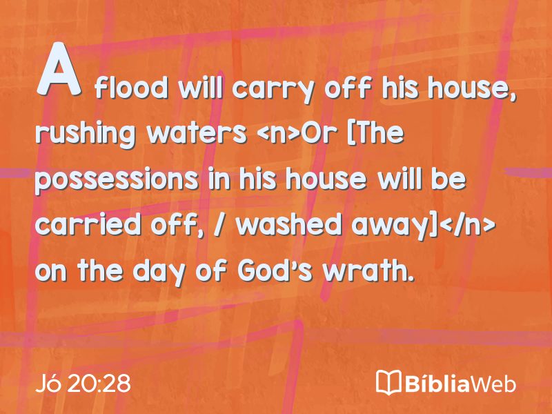 Jó 20:28 em imagem para compartilhar