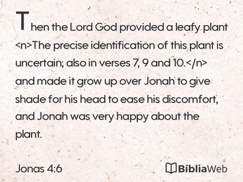 Jonas 4:6 em imagem para compartilhar