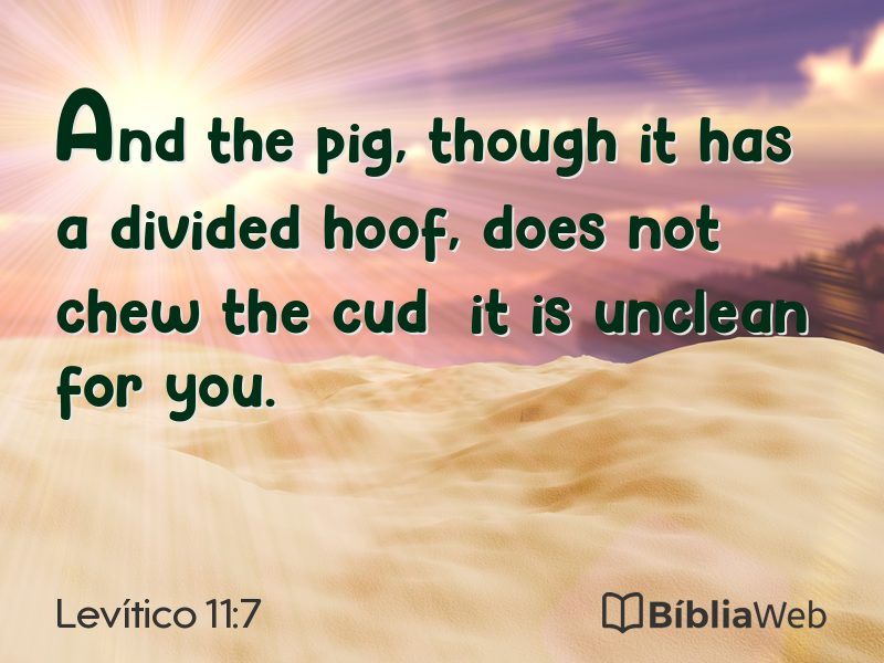 Levítico 11:7 em imagem para compartilhar