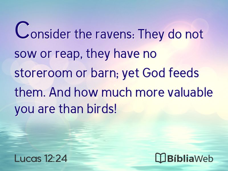 Lucas 12:24 em imagem para compartilhar