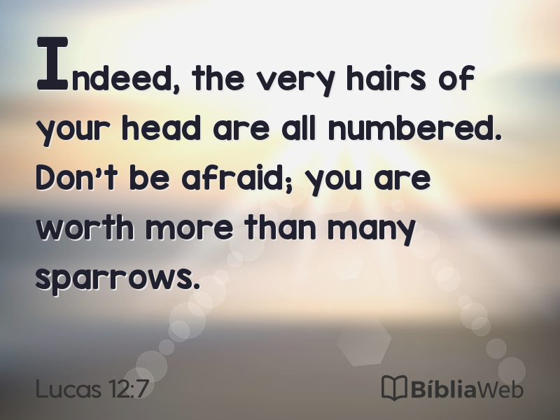 Lucas 12:7 em imagem para compartilhar