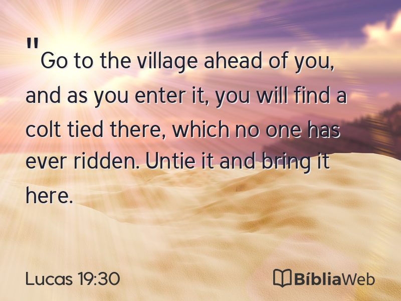 Lucas 19:30 em imagem para compartilhar
