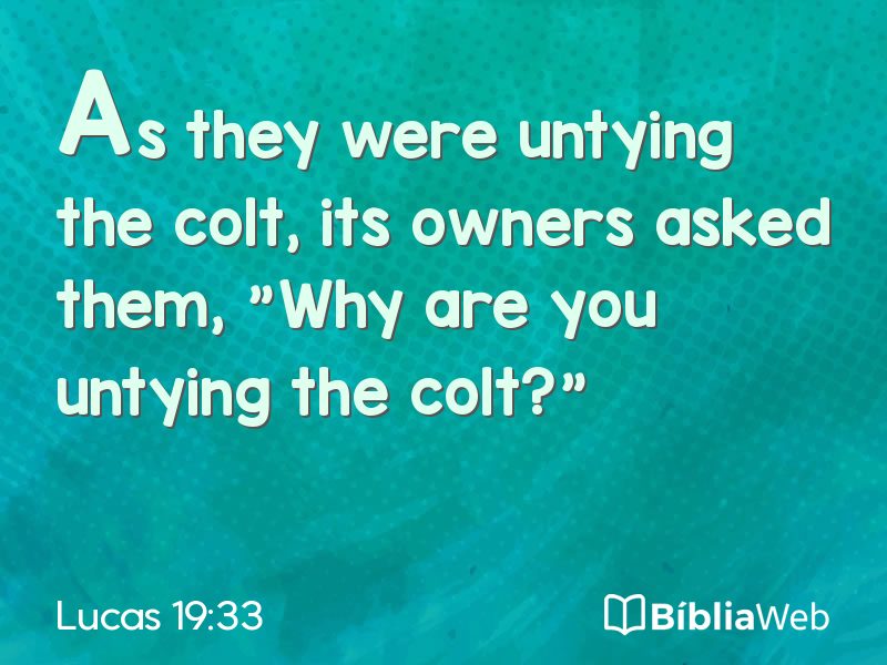Lucas 19:33 em imagem para compartilhar