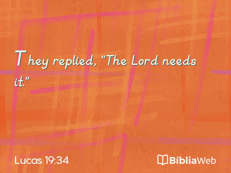 Lucas 19:34 em imagem para compartilhar
