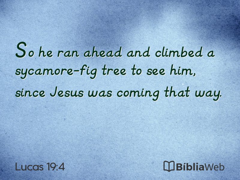 Lucas 19:4 em imagem para compartilhar