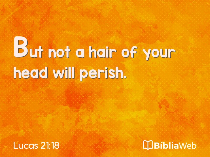 Lucas 21:18 em imagem para compartilhar