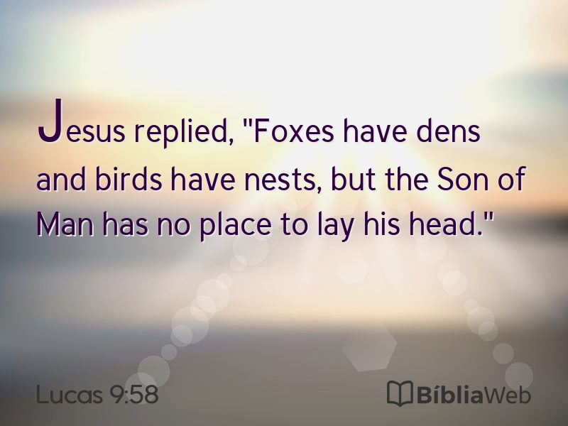Lucas 9:58 em imagem para compartilhar