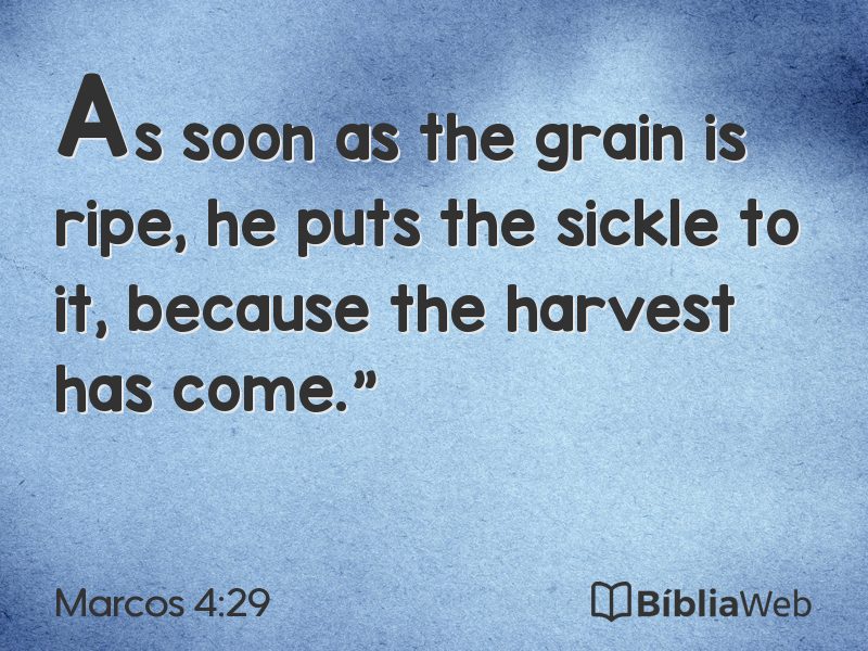 Marcos 4:29 em imagem para compartilhar