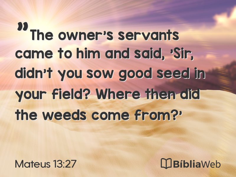 Mateus 13:27 em imagem para compartilhar