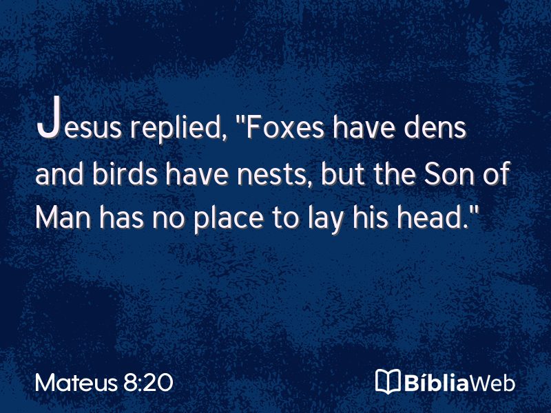 Mateus 8:20 em imagem para compartilhar