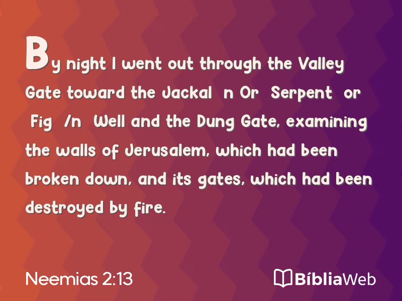Neemias 2:13 em imagem para compartilhar