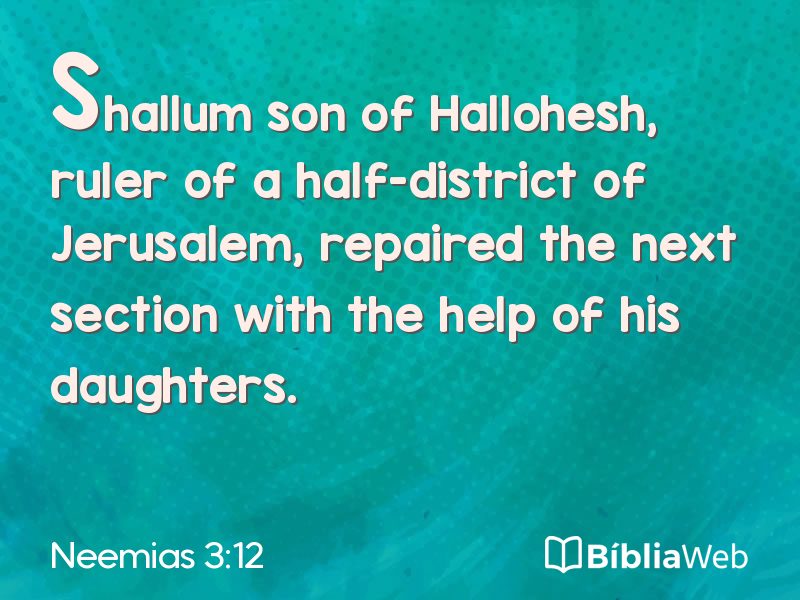 Neemias 3:12 em imagem para compartilhar