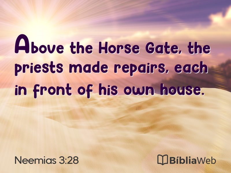 Neemias 3:28 em imagem para compartilhar