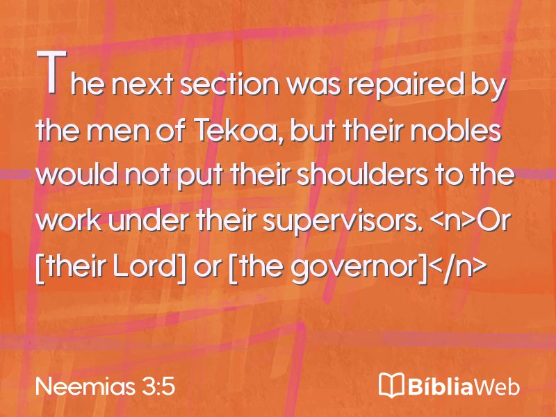 Neemias 3:5 em imagem para compartilhar