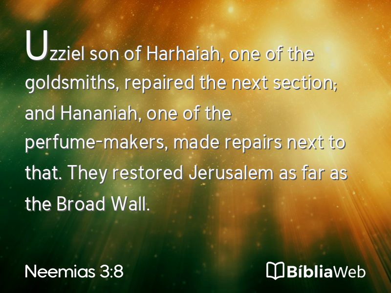 Neemias 3:8 em imagem para compartilhar