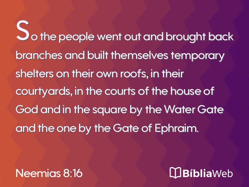 Neemias 8:16 em imagem para compartilhar