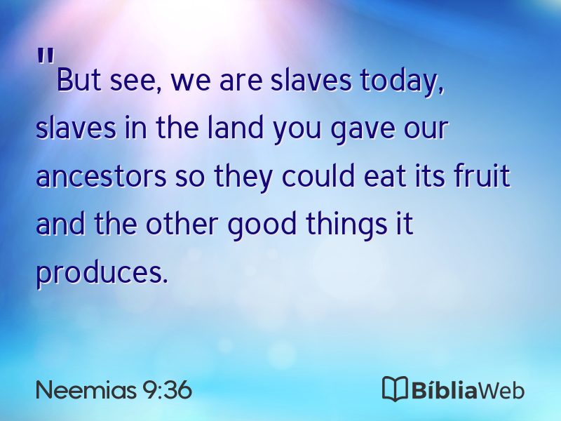 Neemias 9:36 em imagem para compartilhar