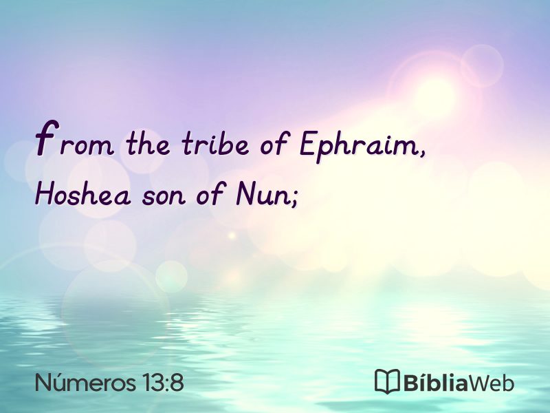 Números 13:8 em imagem para compartilhar