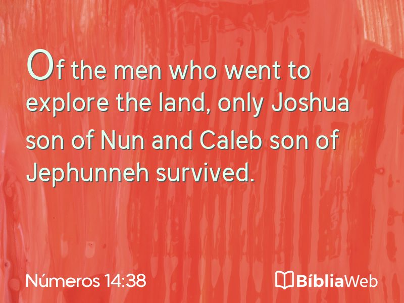 Números 14:38 em imagem para compartilhar