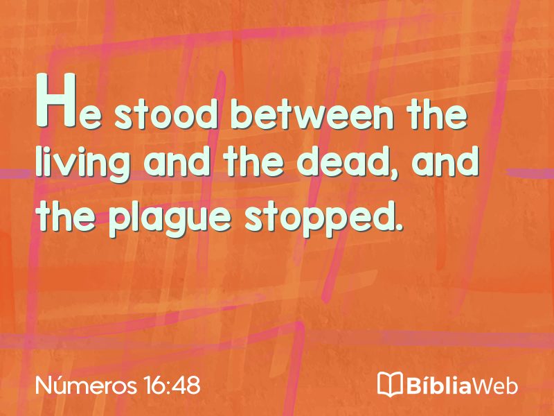 Números 16:48 em imagem para compartilhar