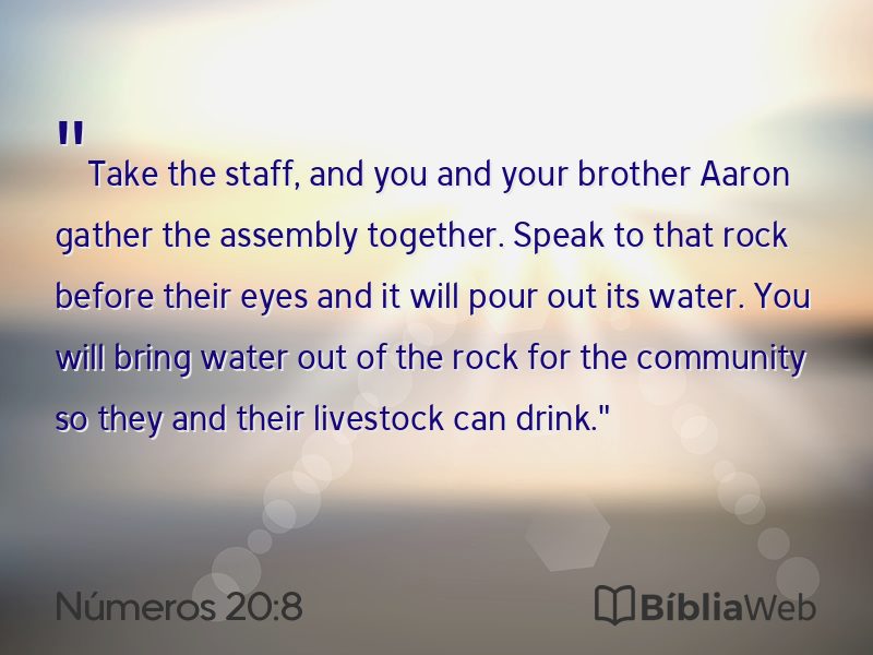 Números 20:8 em imagem para compartilhar