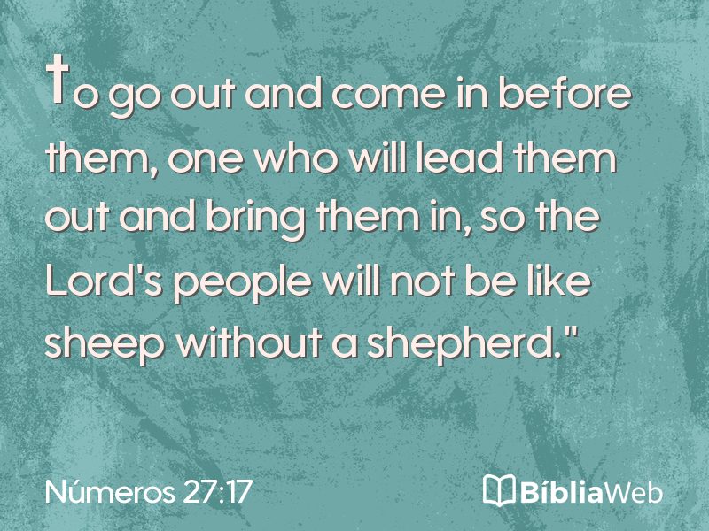 Números 27:17 em imagem para compartilhar