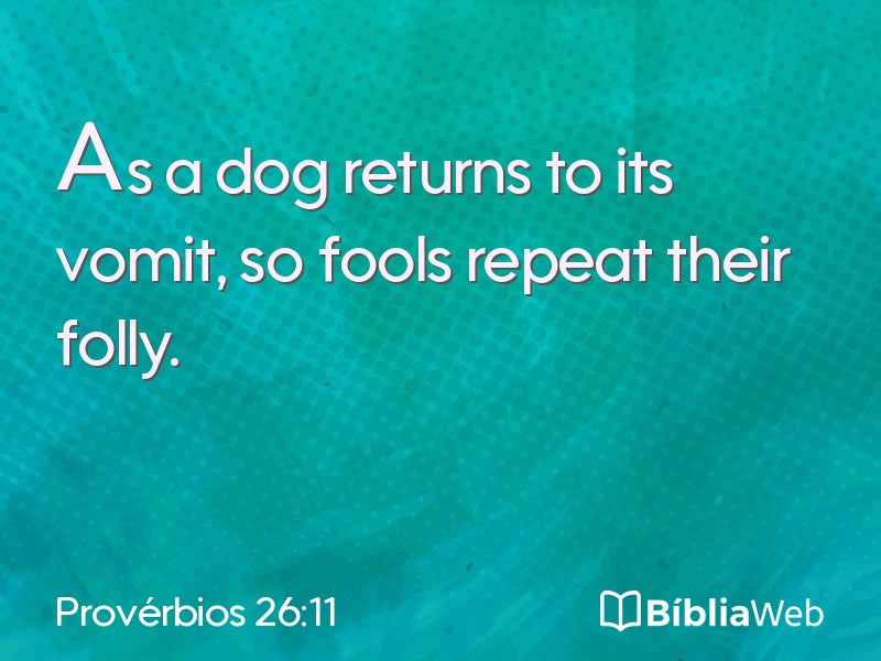 Provérbios 26:11 em imagem para compartilhar