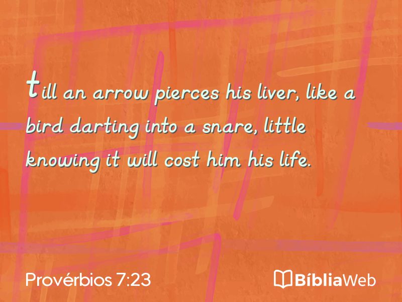 Provérbios 7:23 em imagem para compartilhar